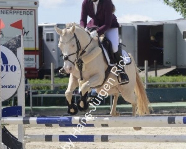 donal walsh add creamy riding photo