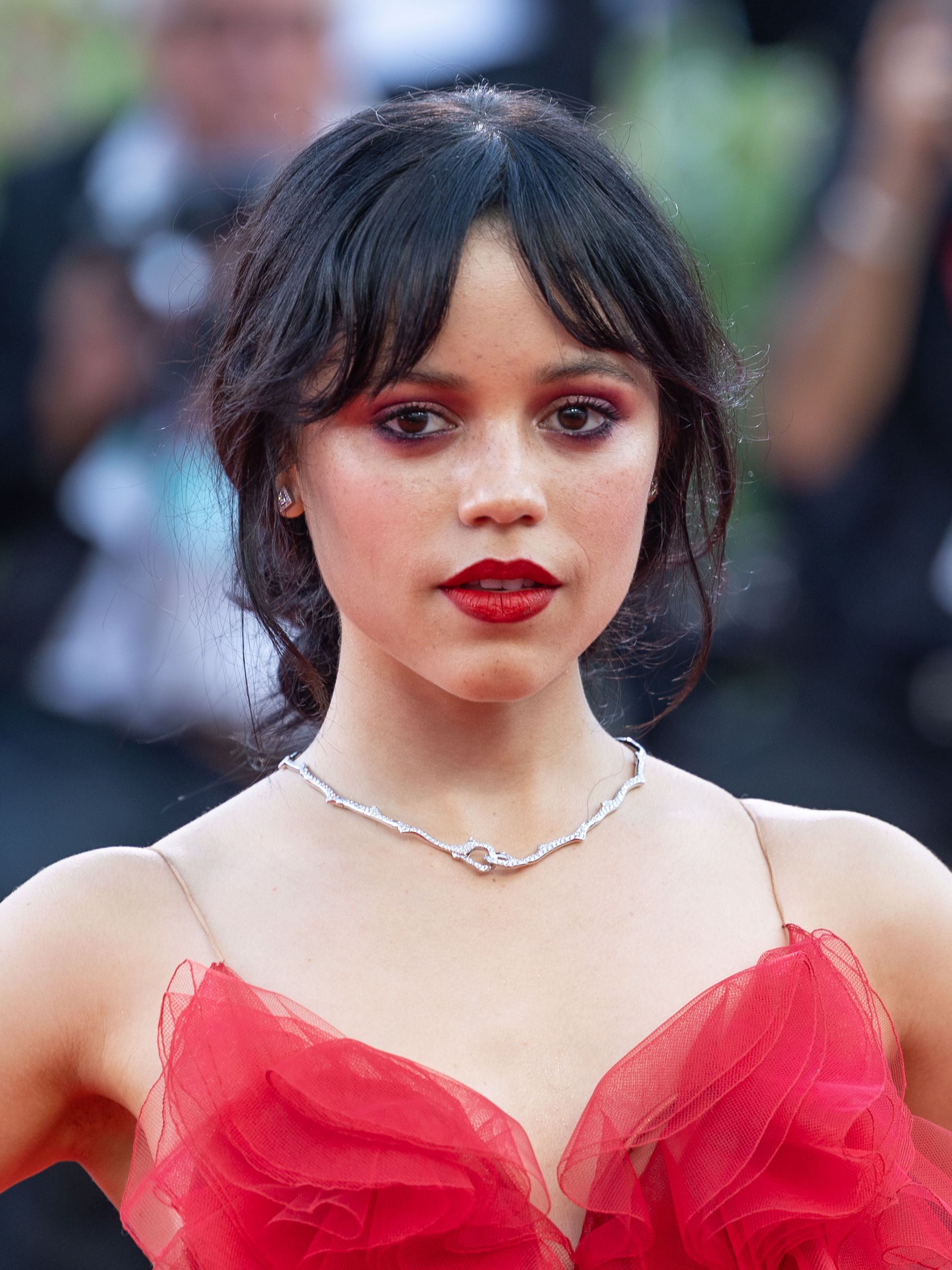 dewald venter add jenna ortega pornosu photo