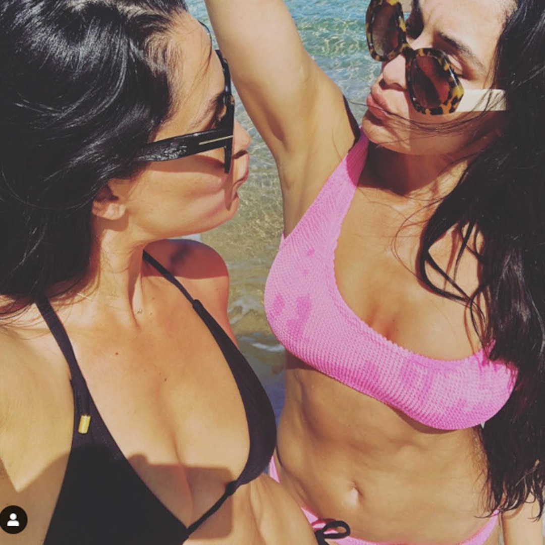 ali crain add nikki bella cameltoe image