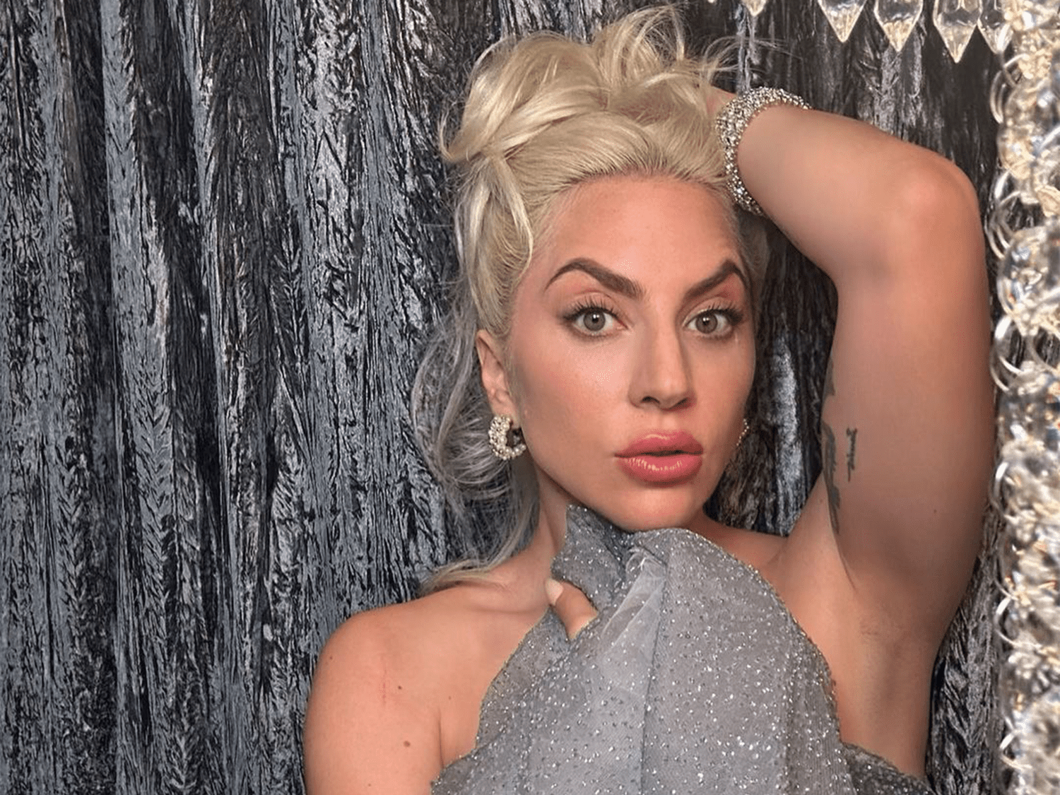 arti soni add naked photos of lady gaga photo