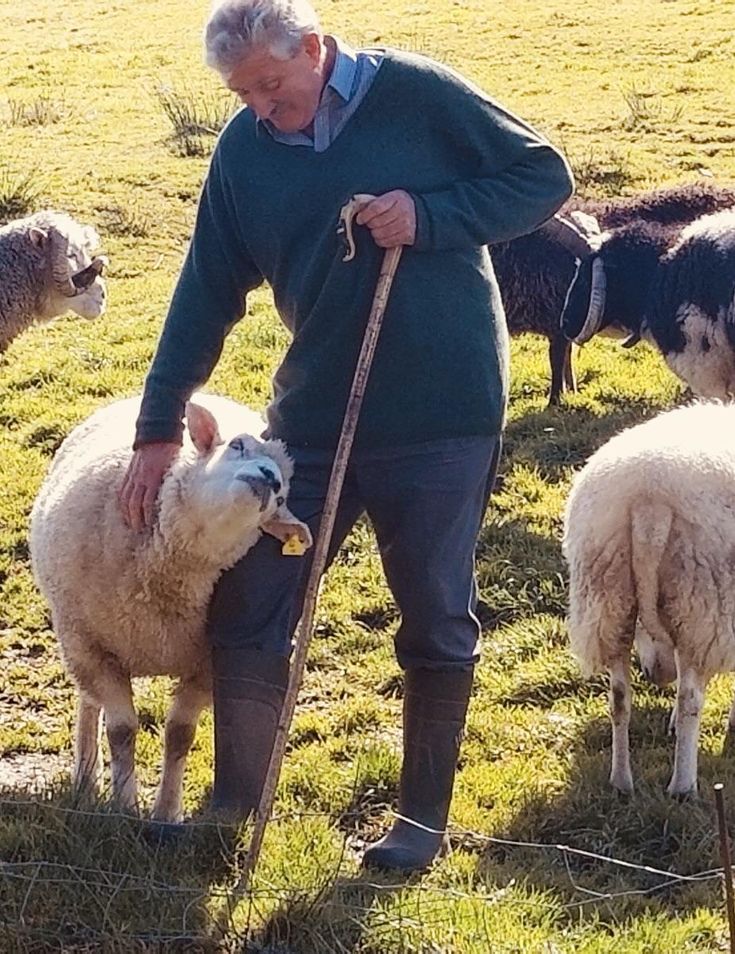 betina lund add man screwing sheep photo