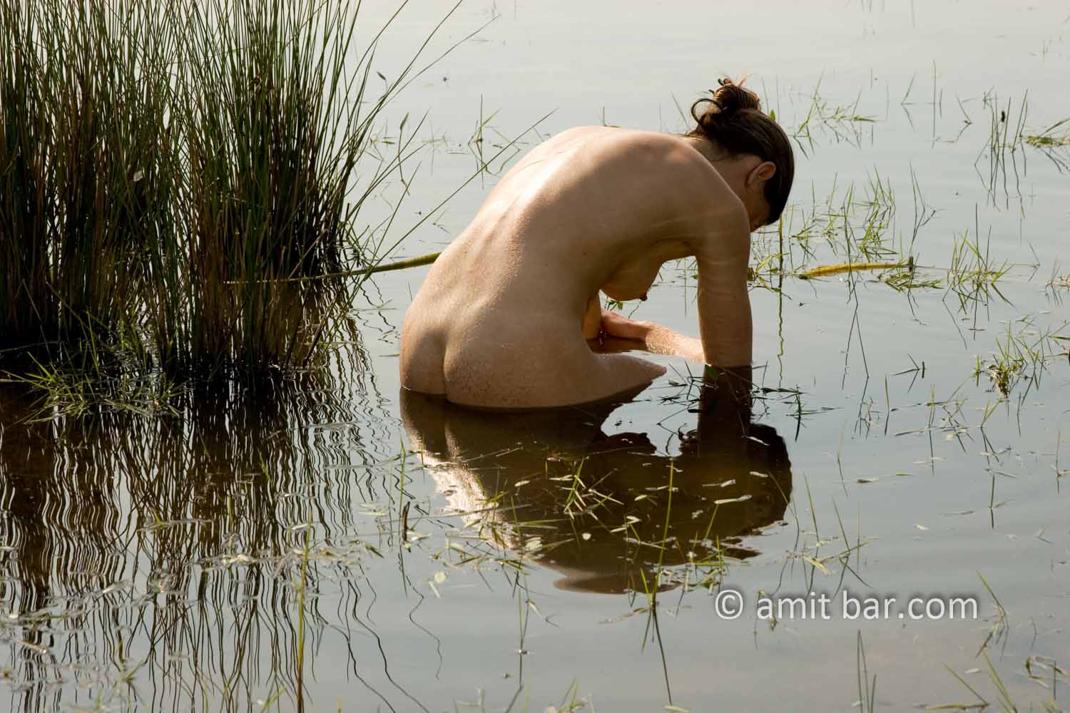 david mcquerry add nude on water photo