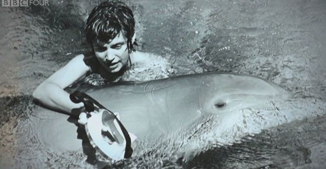 charles futrell add dolphin and human porn photo