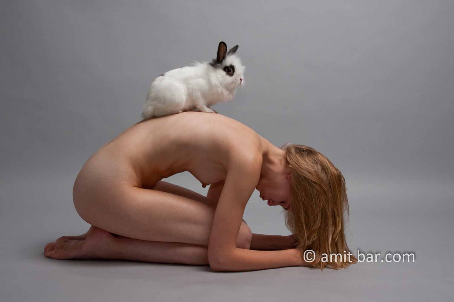 ashley kole add rabbit nude photo