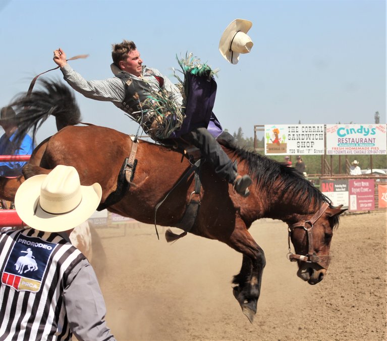 brittany pierpont add homemade bareback photo