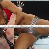 brad tressler add nikki bella cameltoe photo