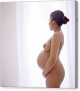 brianna griswold add pregnant women in nude image